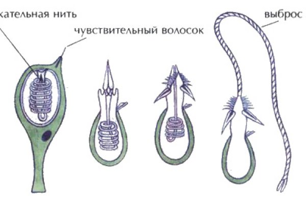 Kraken вход и ссылки